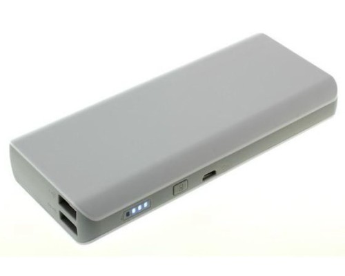 insect kijken Voorspellen Mobiele USB-Powerbank accu voor iPhone en iPad - 11.000mAh | Batteries  Online