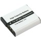 Batterie NP-BG1 pour appareil photo Sony DSC-W115
